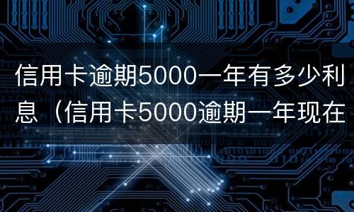 信用卡逾期5000一年有多少利息（信用卡5000逾期一年现在还多少）
