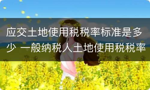应交土地使用税税率标准是多少 一般纳税人土地使用税税率