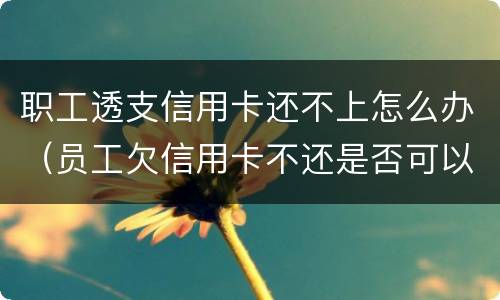 职工透支信用卡还不上怎么办（员工欠信用卡不还是否可以开除?）
