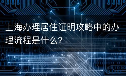 上海办理居住证明攻略中的办理流程是什么？
