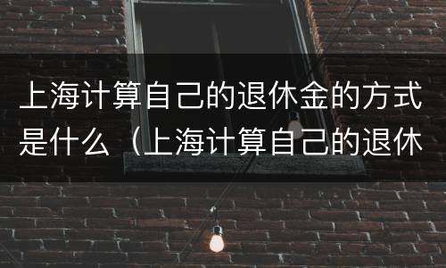 上海计算自己的退休金的方式是什么（上海计算自己的退休金的方式是什么意思）