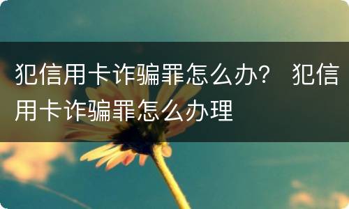 犯信用卡诈骗罪怎么办？ 犯信用卡诈骗罪怎么办理