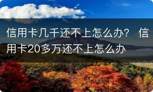 信用卡几千还不上怎么办？ 信用卡20多万还不上怎么办