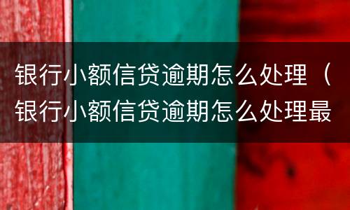 银行小额信贷逾期怎么处理（银行小额信贷逾期怎么处理最快）