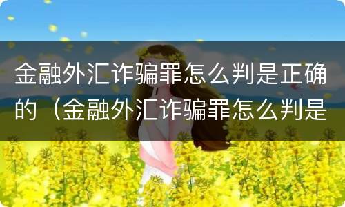 金融外汇诈骗罪怎么判是正确的（金融外汇诈骗罪怎么判是正确的呢）