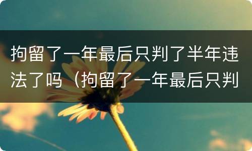 拘留了一年最后只判了半年违法了吗（拘留了一年最后只判了半年违法了吗）