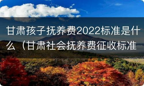 甘肃孩子抚养费2022标准是什么（甘肃社会抚养费征收标准2021）