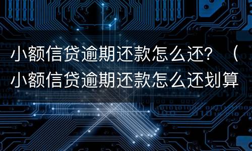 小额信贷逾期还款怎么还？（小额信贷逾期还款怎么还划算）