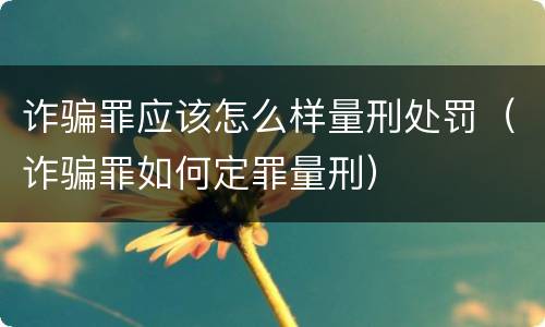诈骗罪应该怎么样量刑处罚（诈骗罪如何定罪量刑）