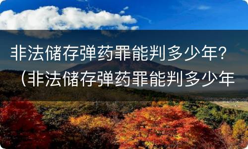 非法储存弹药罪能判多少年？（非法储存弹药罪能判多少年刑）