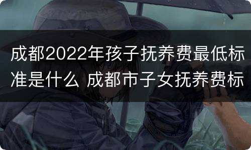 成都2022年孩子抚养费最低标准是什么 成都市子女抚养费标准