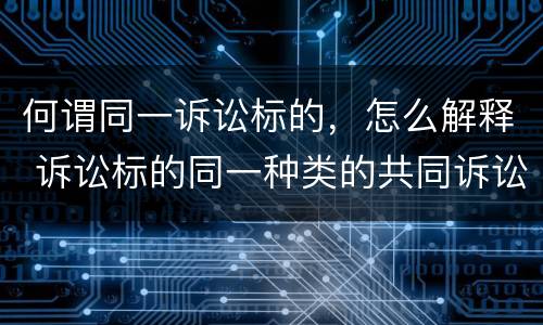 何谓同一诉讼标的，怎么解释 诉讼标的同一种类的共同诉讼称为