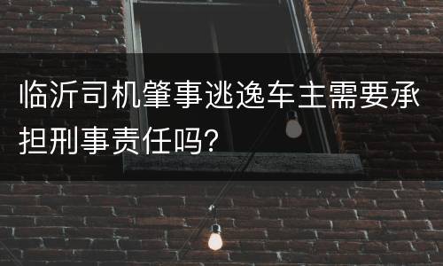 临沂司机肇事逃逸车主需要承担刑事责任吗？