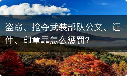 盗窃、抢夺武装部队公文、证件、印章罪怎么惩罚？