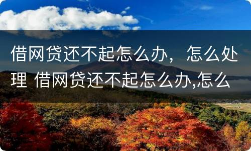 借网贷还不起怎么办，怎么处理 借网贷还不起怎么办,怎么处理呢