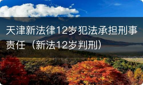 天津新法律12岁犯法承担刑事责任（新法12岁判刑）