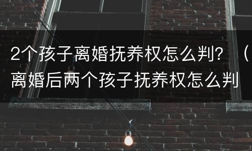 2个孩子离婚抚养权怎么判？（离婚后两个孩子抚养权怎么判定）