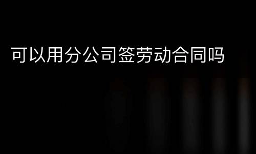 可以用分公司签劳动合同吗