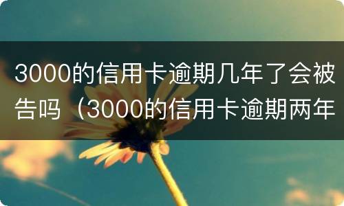 3000的信用卡逾期几年了会被告吗（3000的信用卡逾期两年）