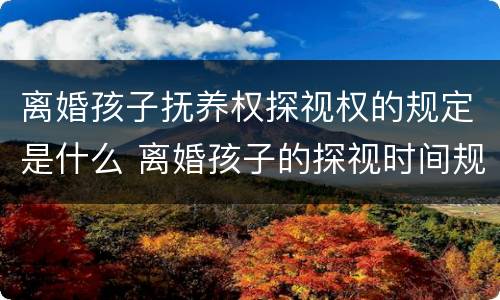 离婚孩子抚养权探视权的规定是什么 离婚孩子的探视时间规定