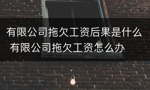 有限公司拖欠工资后果是什么 有限公司拖欠工资怎么办