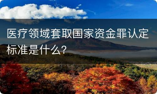 医疗领域套取国家资金罪认定标准是什么？