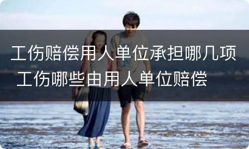 工伤赔偿用人单位承担哪几项 工伤哪些由用人单位赔偿