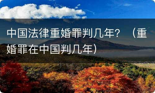 中国法律重婚罪判几年？（重婚罪在中国判几年）