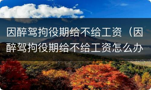 因醉驾拘役期给不给工资（因醉驾拘役期给不给工资怎么办）