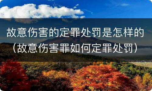 故意伤害的定罪处罚是怎样的（故意伤害罪如何定罪处罚）