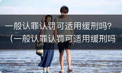 一般认罪认罚可适用缓刑吗？（一般认罪认罚可适用缓刑吗）