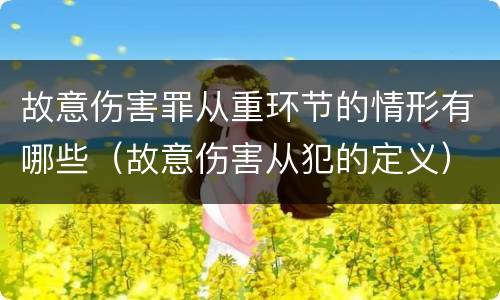 故意伤害罪从重环节的情形有哪些（故意伤害从犯的定义）