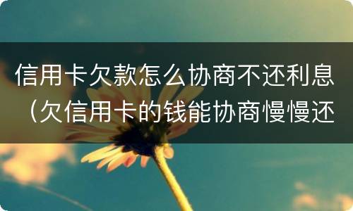 信用卡欠款怎么协商不还利息（欠信用卡的钱能协商慢慢还不）