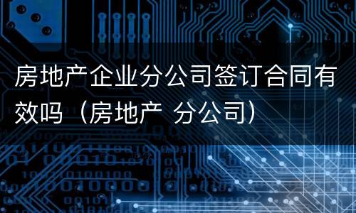 房地产企业分公司签订合同有效吗（房地产 分公司）