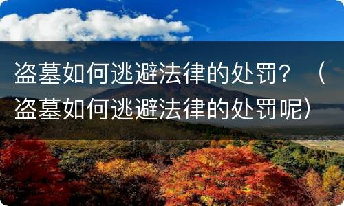 盗墓如何逃避法律的处罚？（盗墓如何逃避法律的处罚呢）