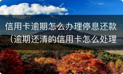 信用卡逾期怎么办理停息还款（逾期还清的信用卡怎么处理）