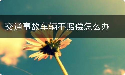 交通事故车辆不赔偿怎么办