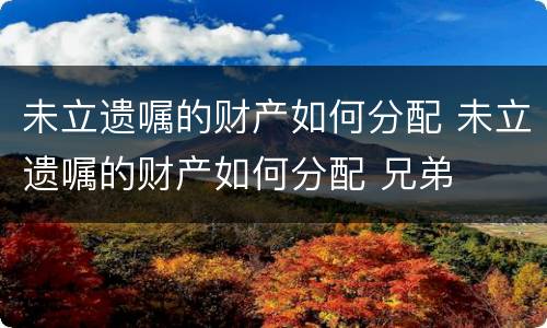 未立遗嘱的财产如何分配 未立遗嘱的财产如何分配 兄弟