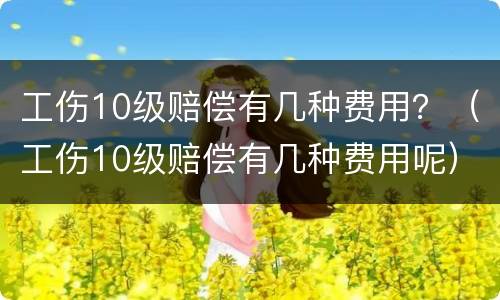 工伤10级赔偿有几种费用？（工伤10级赔偿有几种费用呢）