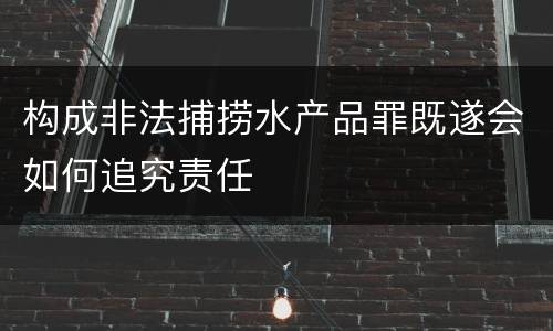 构成非法捕捞水产品罪既遂会如何追究责任
