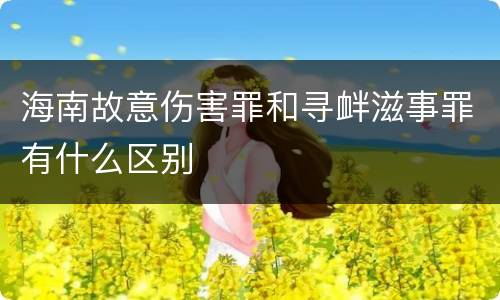 海南故意伤害罪和寻衅滋事罪有什么区别