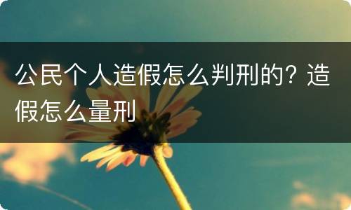 公民个人造假怎么判刑的? 造假怎么量刑