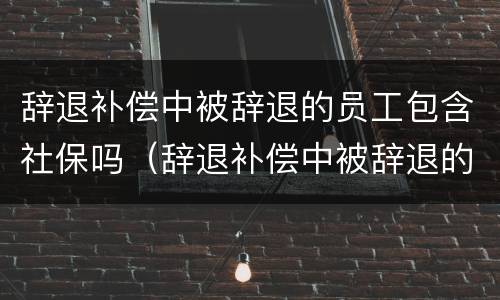 辞退补偿中被辞退的员工包含社保吗（辞退补偿中被辞退的员工包含社保吗怎么算）