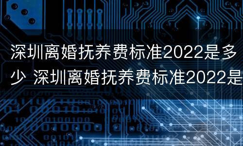深圳离婚抚养费标准2022是多少 深圳离婚抚养费标准2022是多少岁