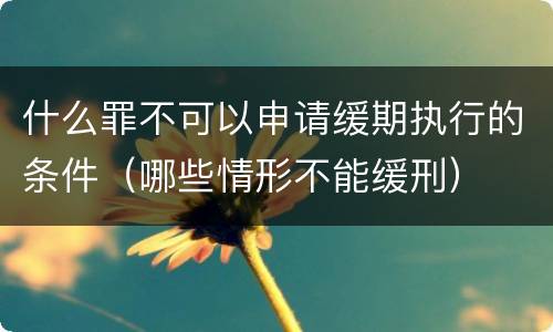 什么罪不可以申请缓期执行的条件（哪些情形不能缓刑）