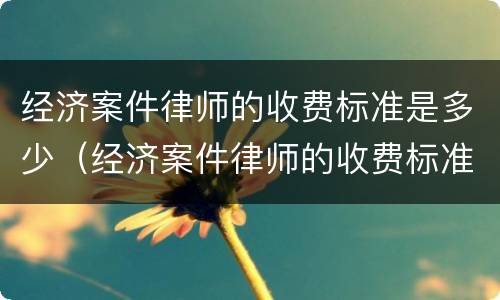 经济案件律师的收费标准是多少（经济案件律师的收费标准是多少钱一个月）
