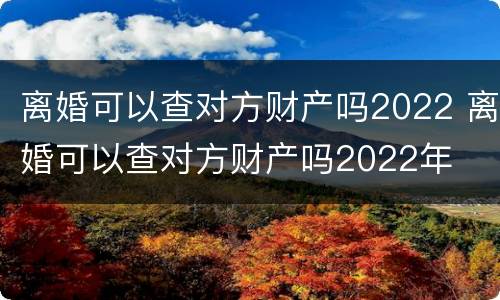 离婚可以查对方财产吗2022 离婚可以查对方财产吗2022年
