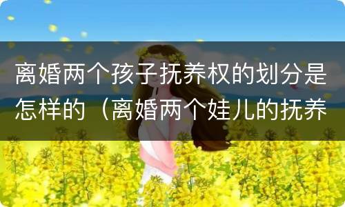 离婚两个孩子抚养权的划分是怎样的（离婚两个娃儿的抚养权怎么办）