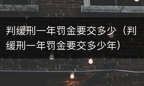 判缓刑一年罚金要交多少（判缓刑一年罚金要交多少年）