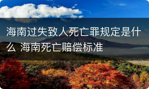 海南过失致人死亡罪规定是什么 海南死亡赔偿标准